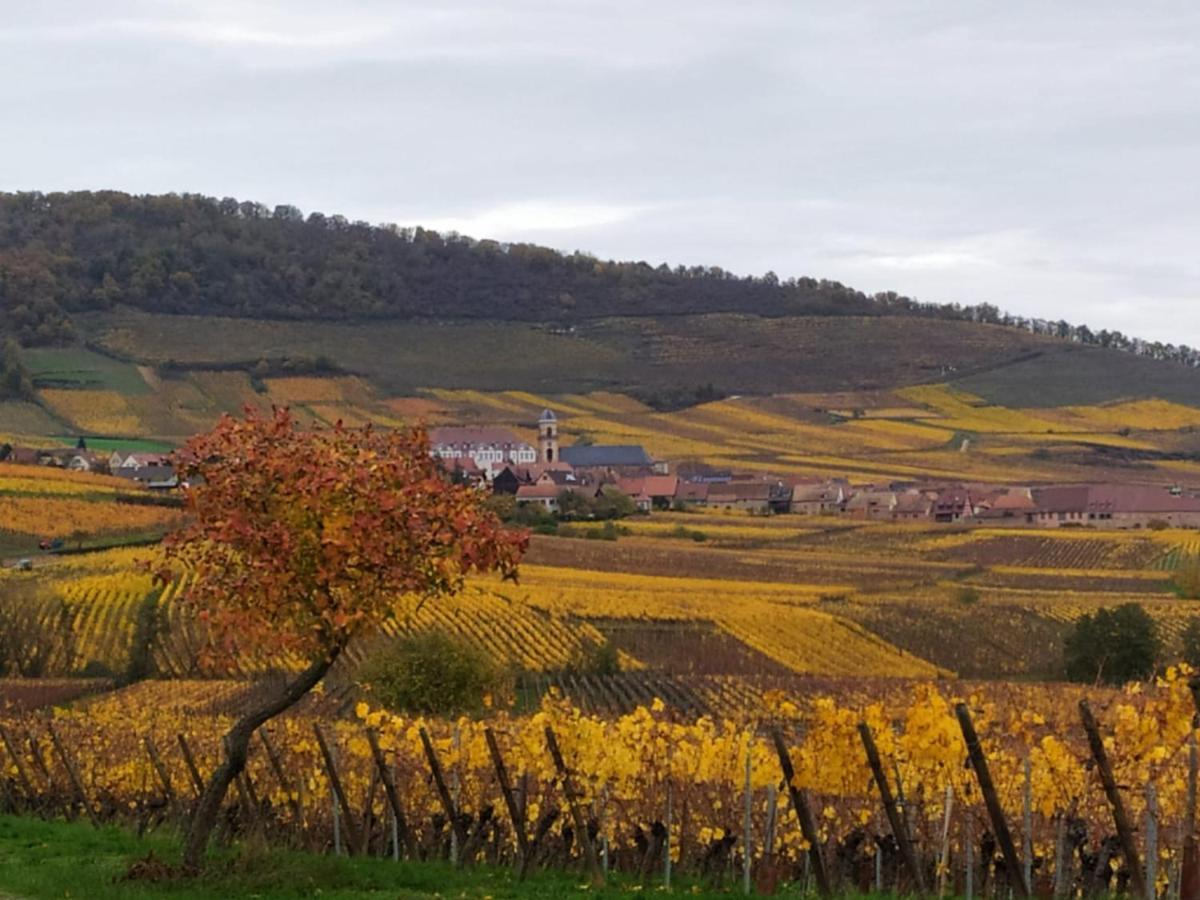 Le Bubele Au Coeur Du Centre Medieval Et Vignoble Ribeauvillé Exteriér fotografie